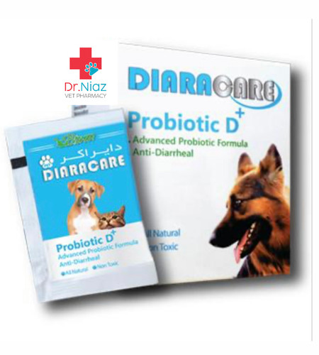 پروبیوتیک سگ و گربه و ویتامین دی