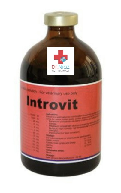 اینتروویت مولتی ویتامین و اسید آمینه تزریقی. ۱۰۰ سی سی هلندی اصلی